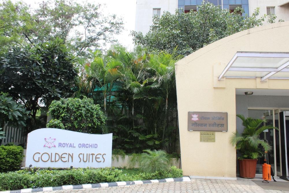 Royal Orchid Golden Pune